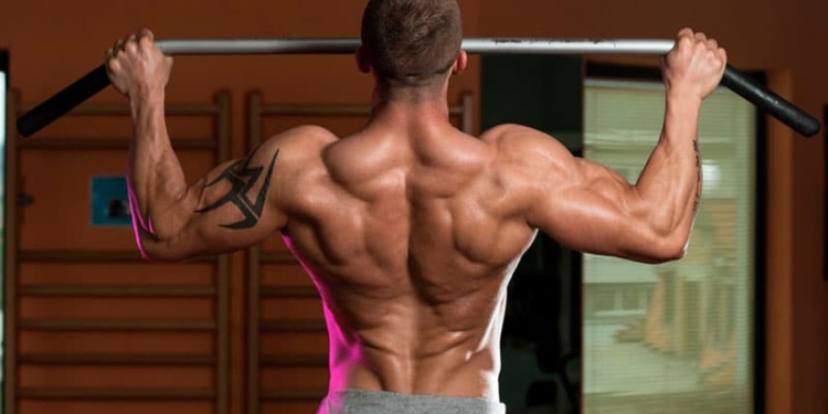 подтягивания на турнике