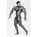 Кевин Леврон